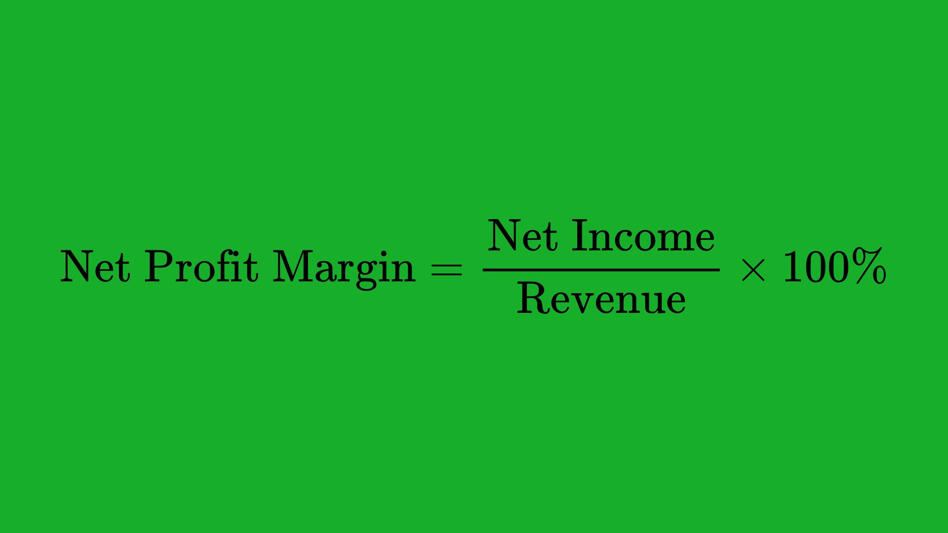 Net Profit Margin 