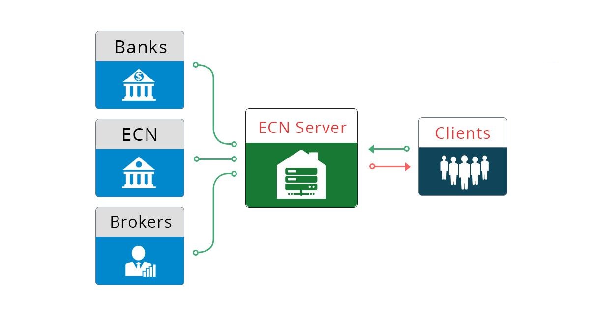 What Are Electronic Communication Networks (ECNs)