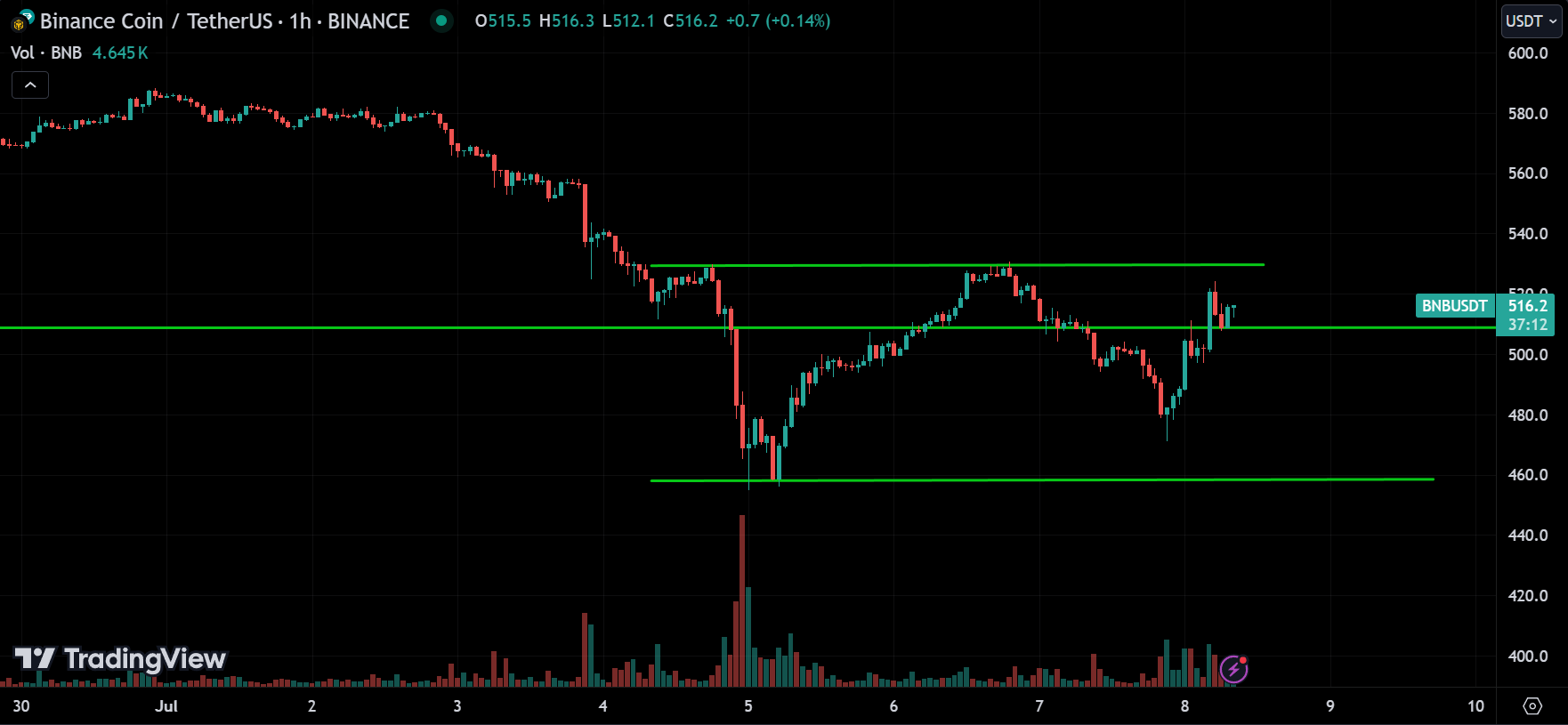 BNB Analysis
xlearnonline.com