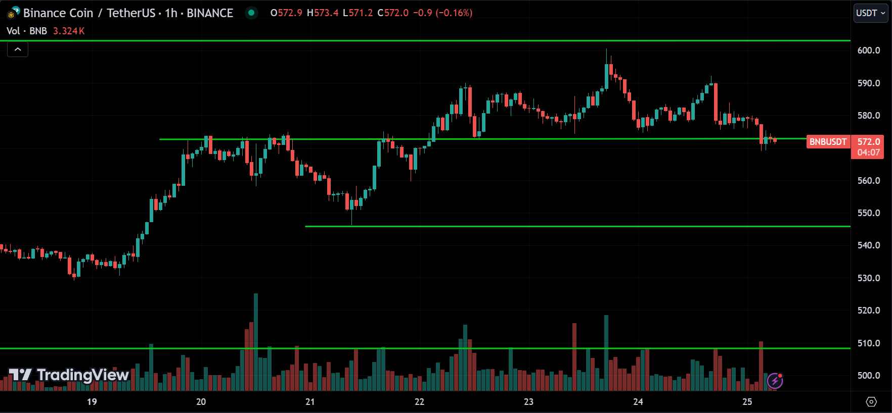 BNB Crypto Price Action Technical Analysis 2024.08.25
xlearnonline.com