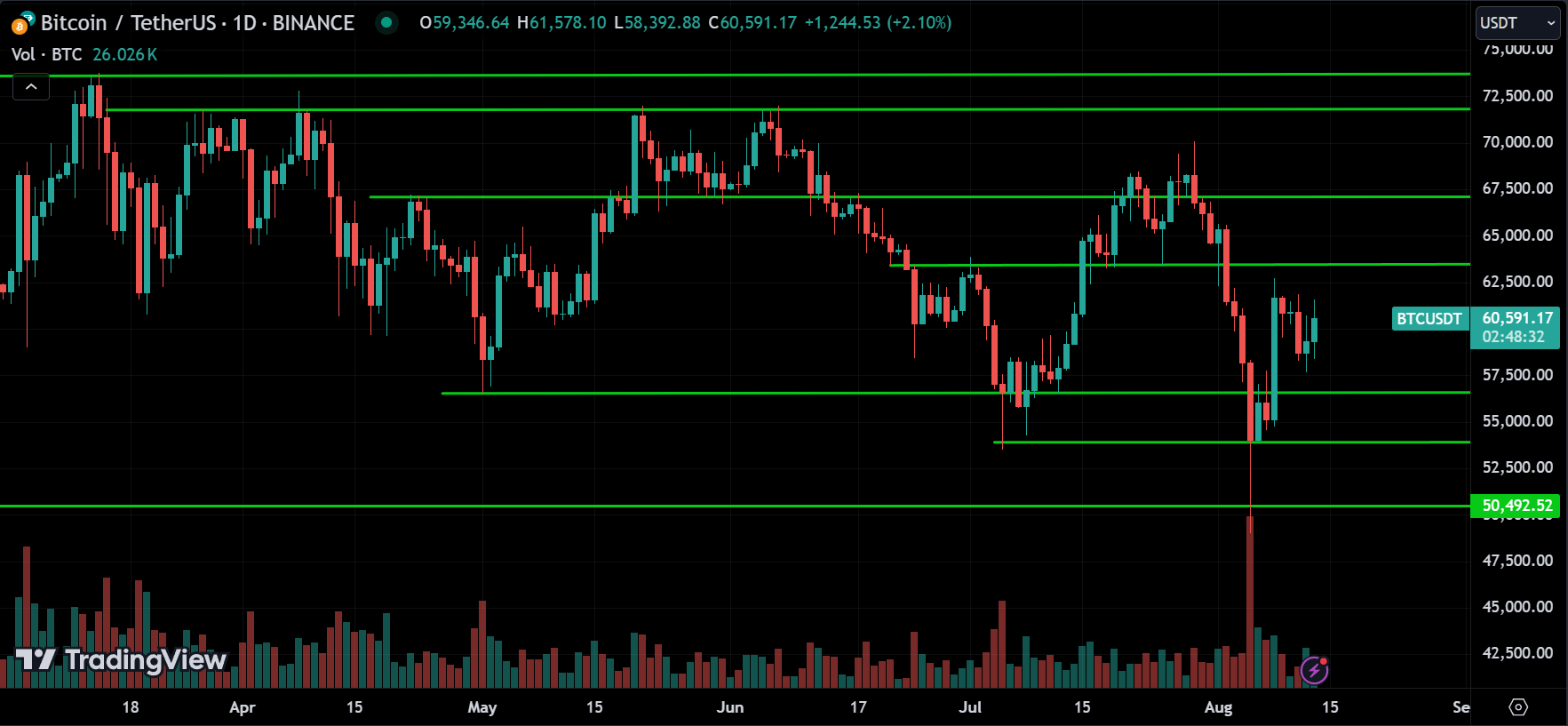 BTC Crypto Price Action Technical Analysis [2024.08.14]
xlearnonline.com