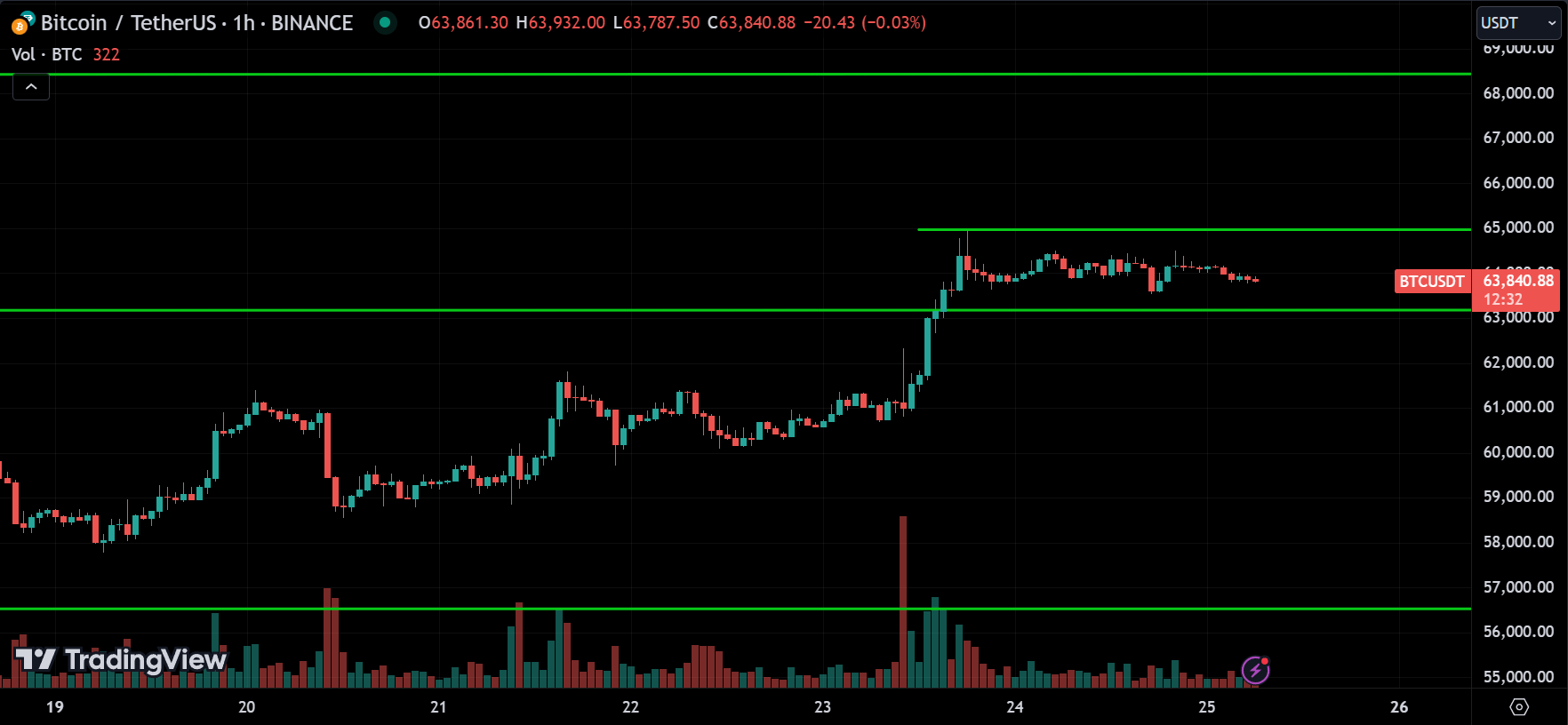 BTC Crypto Price Action Technical Analysis 2024.08.25
xlearnonline.com