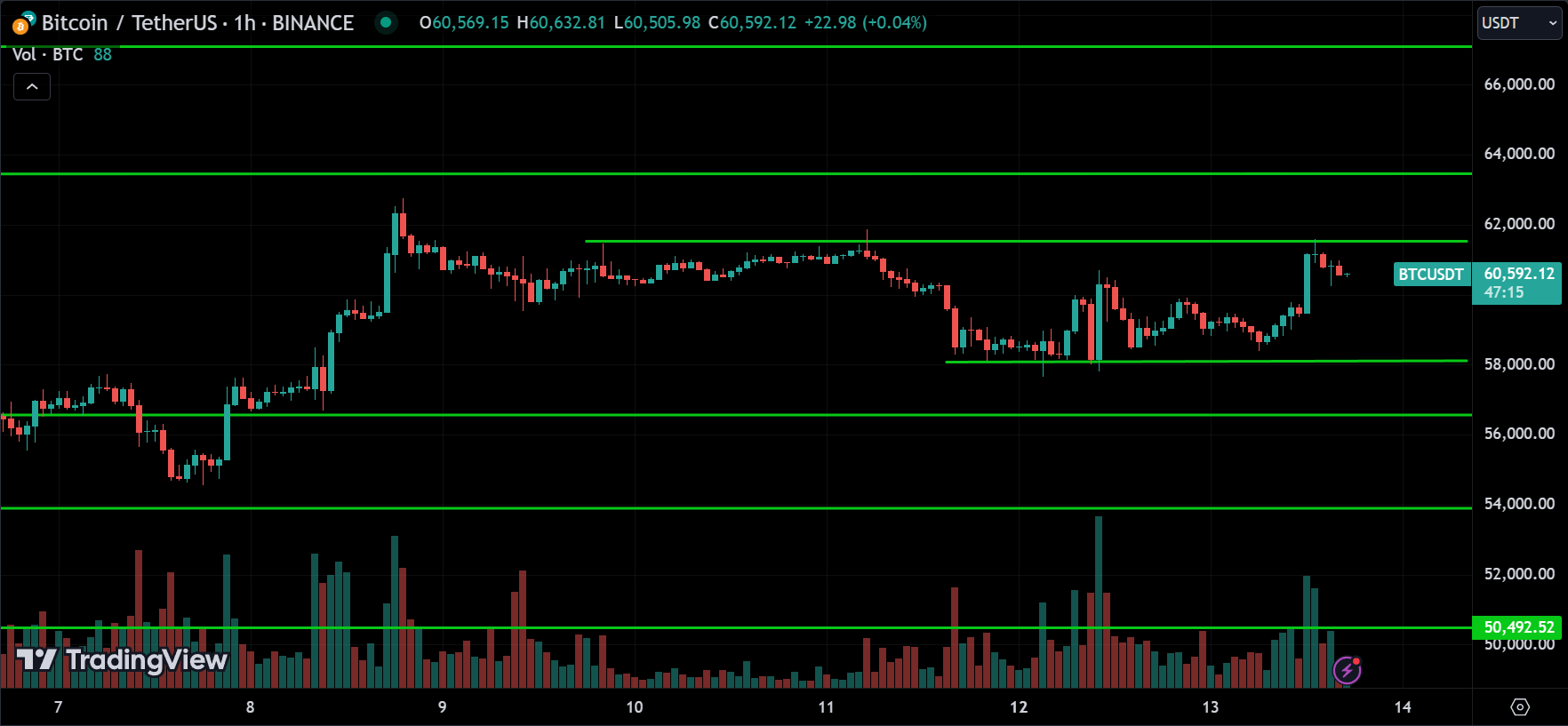 BTC Crypto Price Action Technical Analysis [2024.08.14]
xlearnonline.com