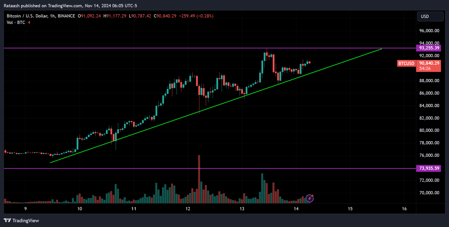 Market Dynamics and Price Predictions of Bitcoin
xlearnonline.com