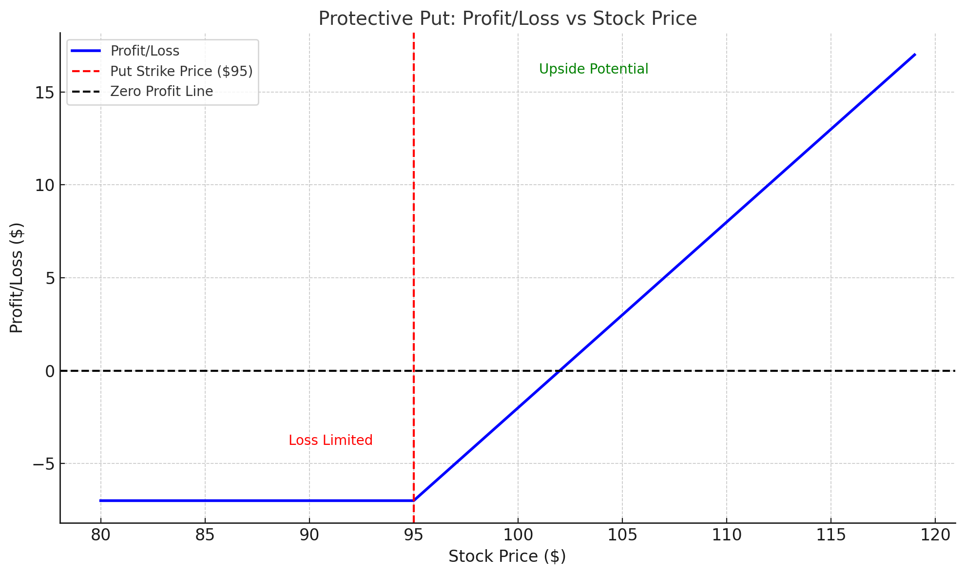 The Protective Put: A Hedging Strategyxlearnonline.com