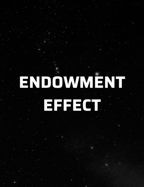 endowment effect in trading