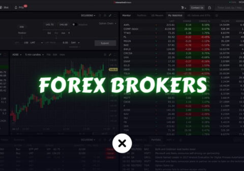 best forex brokers xlearnonline.com