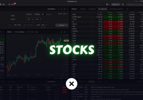 What is a Stock? xlearnonline.com
