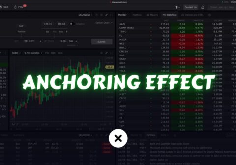 Anchoring Effect in Trading xlearnonline.com