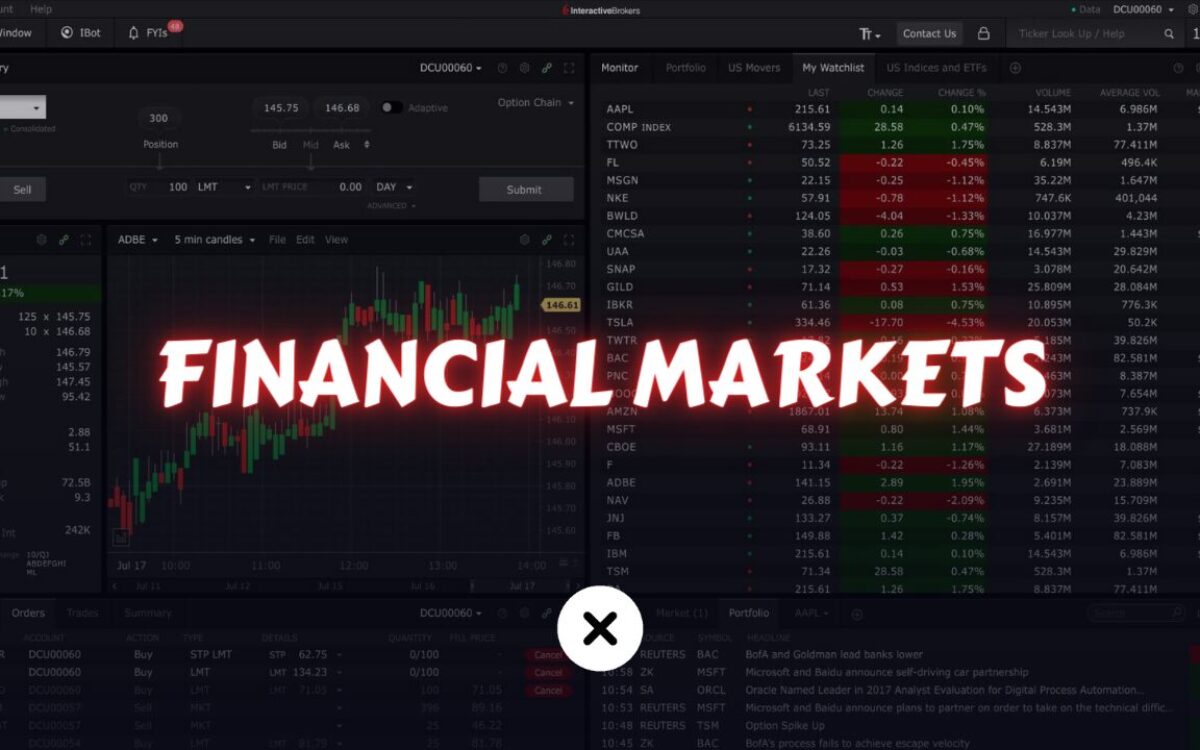 financial markets xlearnonline.com