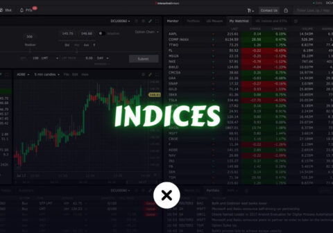 What are Market Indexes? xlearnonline.com